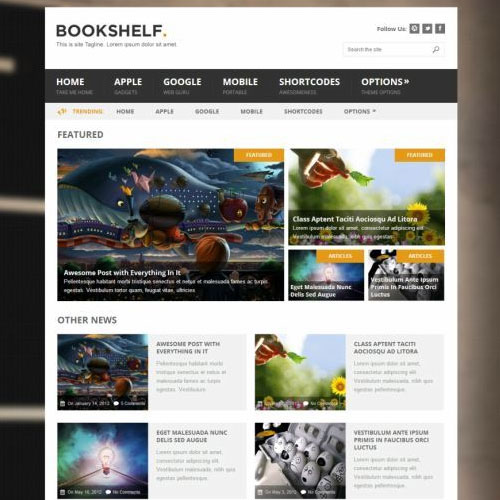 MyThemeShop Bookshelf WordPress Theme