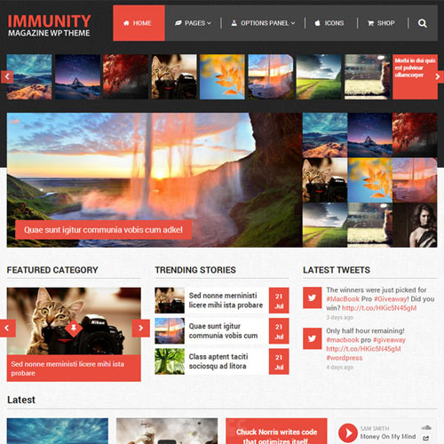 MyThemeShop Immunity WordPress Theme